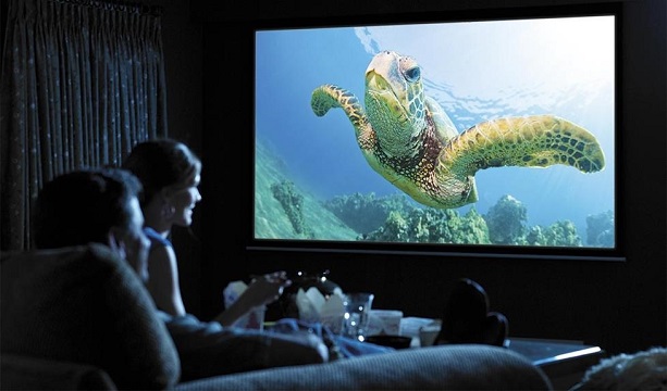 family looking at an image of a turtle on a screen